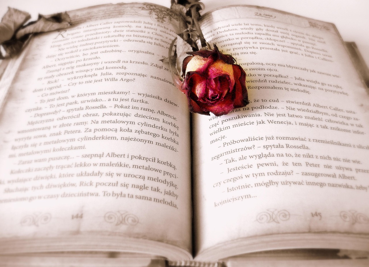 Six Literary Novels That Read Like Mysteries